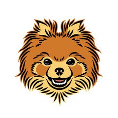 Pomeranian dog face - isolated vector illustration