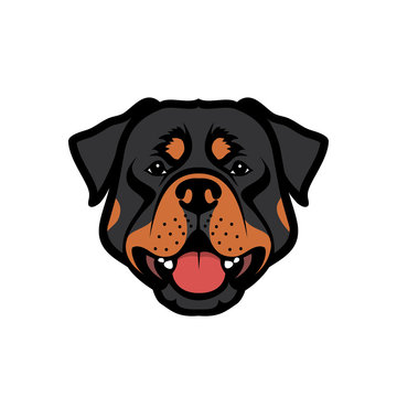 Rottweiler dog - vector illustration