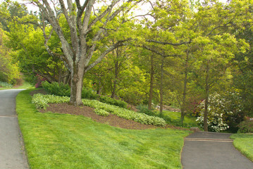 Pathways leading into some of the most colorful landscape you will ever see!