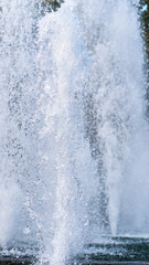 Fototapeta na wymiar fountain - water jets rise to the top