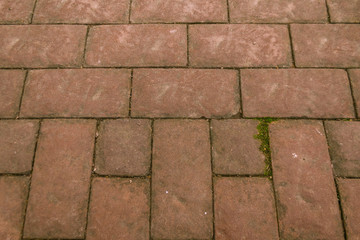 old brick wall