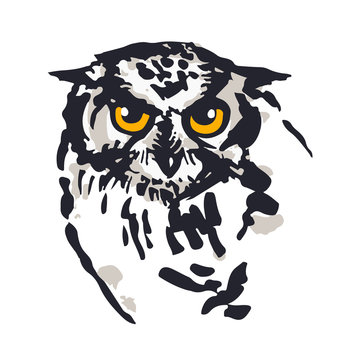 Owl illustration. Digitalized sketches. Ink brush-pen and markers on paper. Black, greys and yellow. Isolated on white background