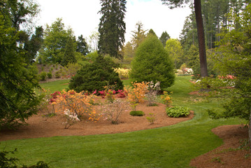 Well landscaped yard with trees and shrubs