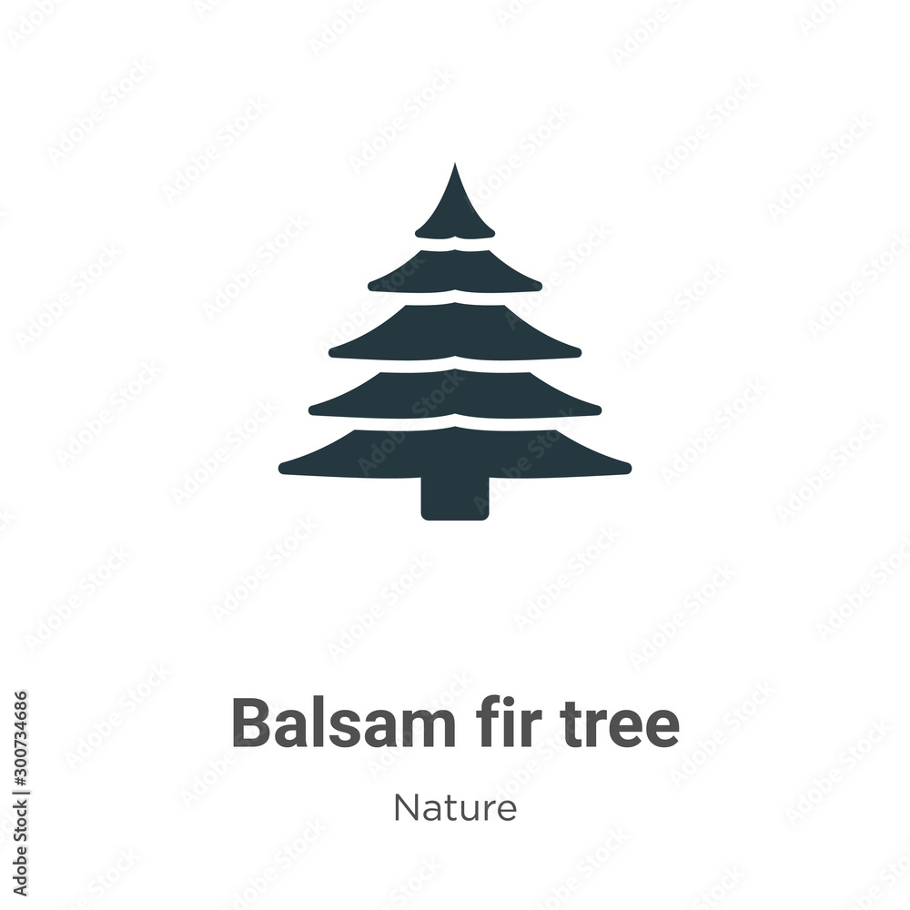 Poster balsam fir tree vector icon on white background. flat vector balsam fir tree icon symbol sign from m
