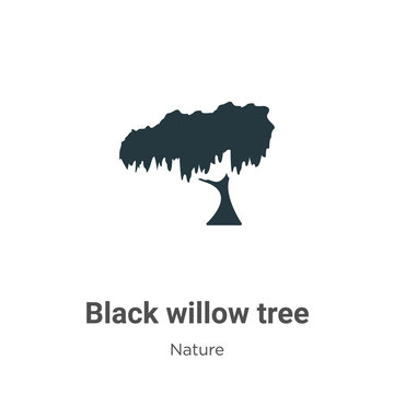 Black Willow Tree Vector Icon On White Background. Flat Vector Black Willow Tree Icon Symbol Sign From Modern Nature Collection For Mobile Concept And Web Apps Design.