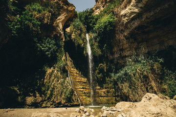 david waterfall ein gedi is an oasis and a nature reserve in Israel, located west of the Dead Sea, near Masada and the Qumran Caves - obrazy, fototapety, plakaty