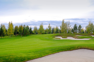 Landscape. Golf course with trees, shrubs.