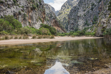 A big canyon with trees and rocks and reflections
