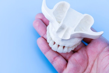 Fototapeta na wymiar Human hand holding a upper jaw with teeth
