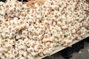Hundreds of garlic in a market, garlic background