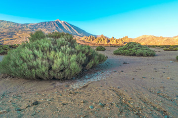 volcanic landscape in Teide NP