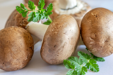 Some fresh raw champignons with green leaves on the white background closeup.