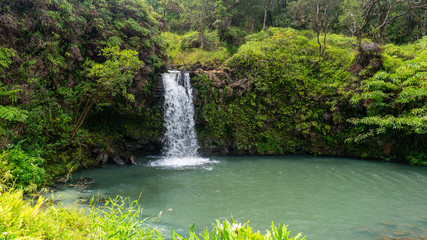 Fototapeta premium Waterfall in Hana