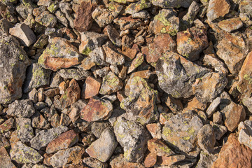 Jagged Rock Texture with Lichen