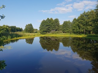 Fototapeta na wymiar River landscape in summer