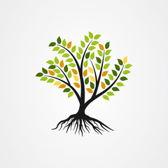 Obraz premium Tree with the roots vector illustration