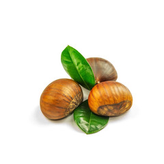 Chestnuts, ripe and unpeeled, on the white background, closeup, isolated.