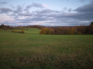 landscape with wheat field and blue sky