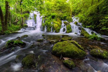 Naklejka na ściany i meble A waterfall in the forest