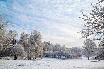 beautiful winter landscape