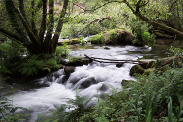 Fototapeta premium waterfall in the forest photo made with the long exposure