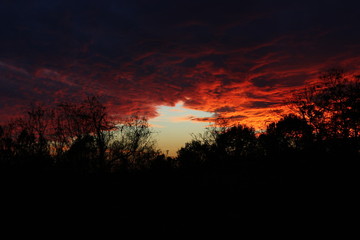 Silhouette In A Sunset 