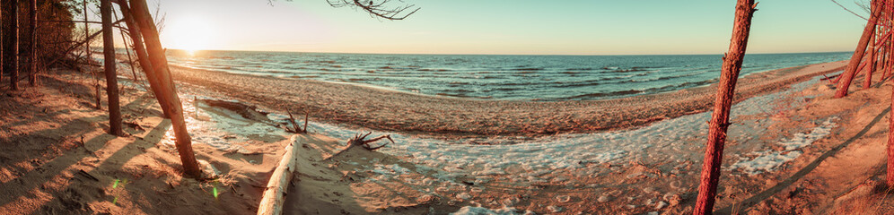 Panorama of Baltic sea coast line and waves with fallen tree close-up after storm during sunset at warm winter day with vintage tones and blue sky