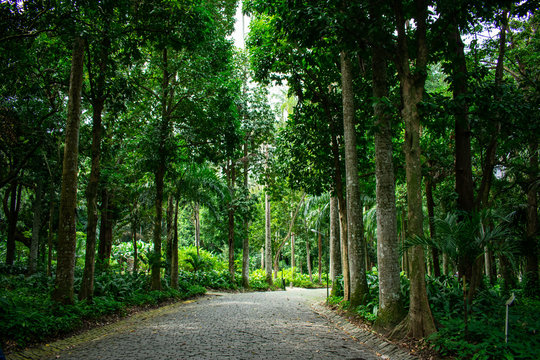 O Parque Henrique Lage é uma incrível mistura entre arquitetura e natureza no Rio de Janeiro