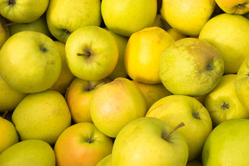 Yellow apples lie on a window of a market, store, supermarket