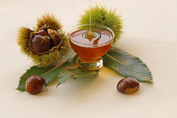 Chestnuts and chestnuts honey on a white background
