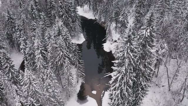 Small meandering river in snow covered forest in winter - aerial drone shot