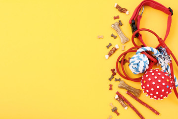 Dry pet food with collar and toys on yellow background