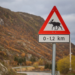 Verkehrsschild Warnung vor Elch