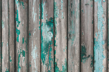 Old painted and partly peeled wooden wall. Rustic background and texture. Close-up