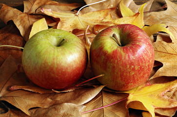 Pair of red apples on leaves