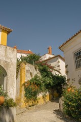 Fototapeta na wymiar Maison blanche et fleurie dans un village portugais