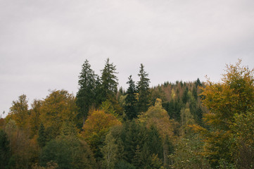 Hike along the railway to get to the small climbing area 