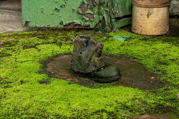 Lost Places - Das alte Bahnwerk