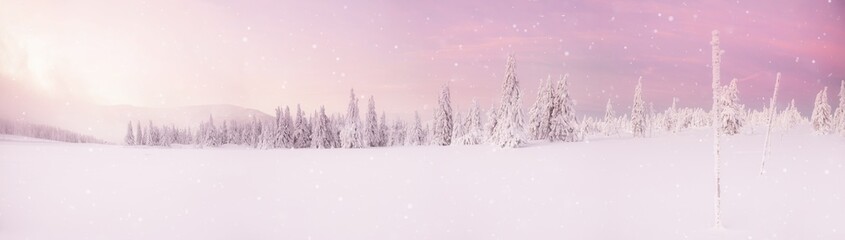 Beautiful winter mountains landscape, trees covered with snow.