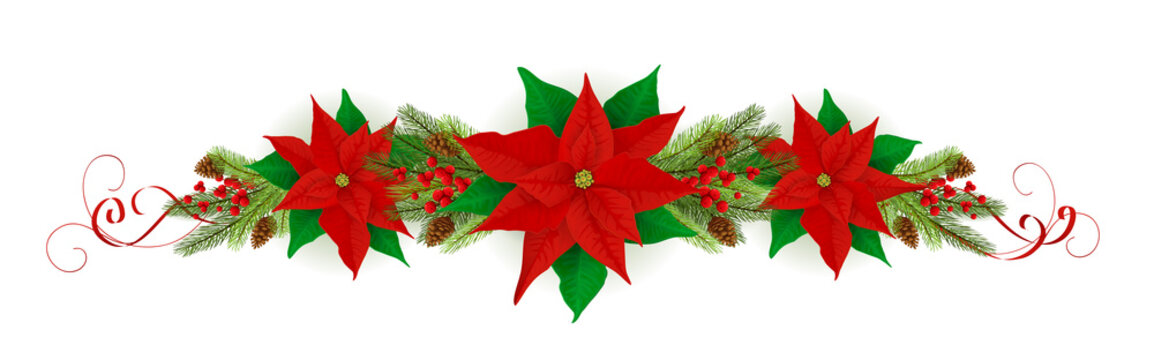 Christmas Decorations with Poinsettia and Fir Tree Branches
