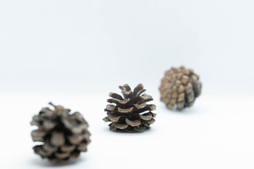 Pine Cone Winter Decoration Background Close Up