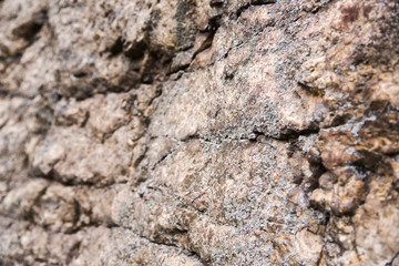 Cliff surface close-up. Uneven stone surface, beautiful background. Rock formation, texture. Macro.