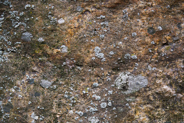 Cliff surface close-up. Uneven stone surface with plants. Rock formation. Interesting background, abstraction, uneven texture.