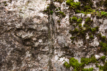 Cliff surface, closeup. Stones covered with green moss in some places. Rock formation. Beautiful background. Rough and uneven texture. Macro.