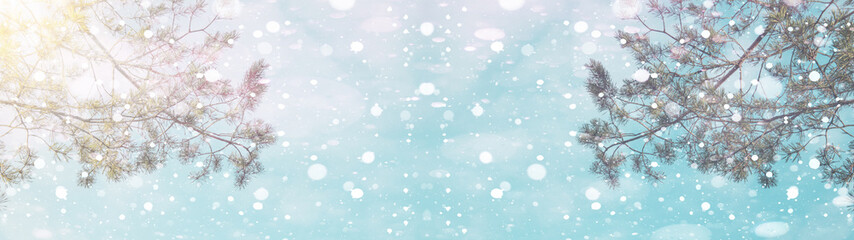 Pine snowflakes on blue sky – winter bokeh snowy background panorama banner long