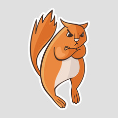 Fototapeta premium cartoon orange squirrel is very angry. Vector sticker, illustration