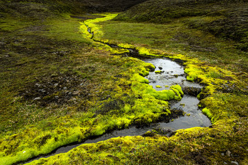 Island Bach Moos Vulkan Lava Nationalpark Landschaft Natur Grün