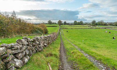 ireland landscpae with stone fence