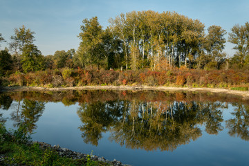 Small pond in Danube National park on a sunny day in autumn
