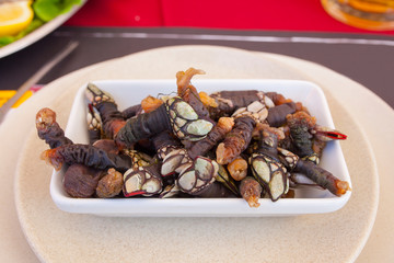 Goose neck barnacles platter at   portuguese seafood meal or marisqueira